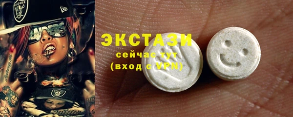 ECSTASY Бородино