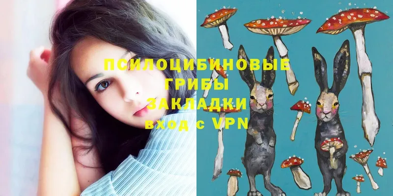 Псилоцибиновые грибы MAGIC MUSHROOMS  хочу наркоту  omg зеркало  Красновишерск 